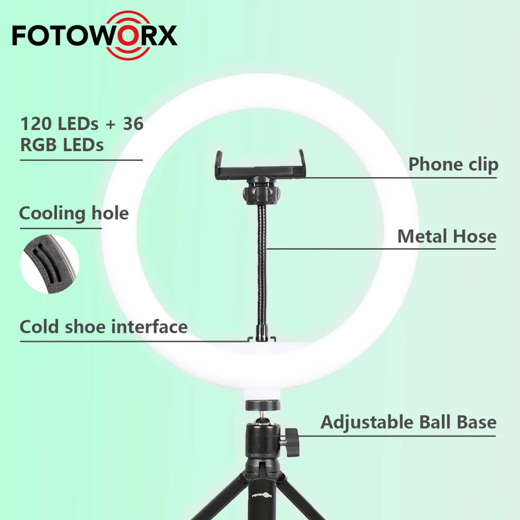 10 Inch RGB Ring Light with Phone Holder USB Powered