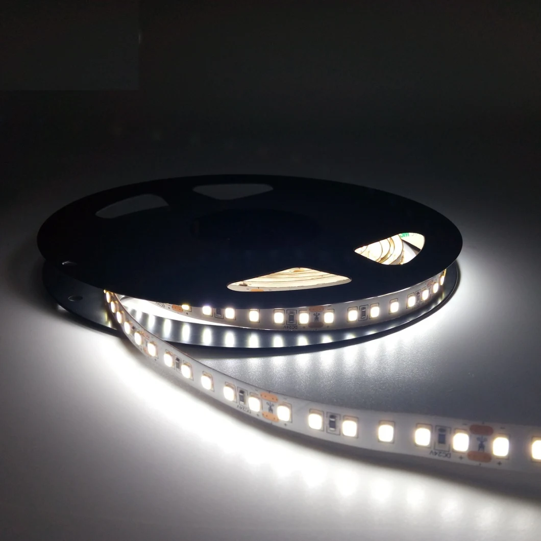 Scenes Illuminating LED Warm White Strip DC24V Waterproof Flexible LED Lights